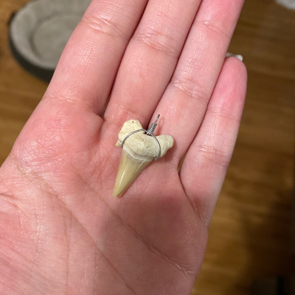 Real Shark-tooth pendant
